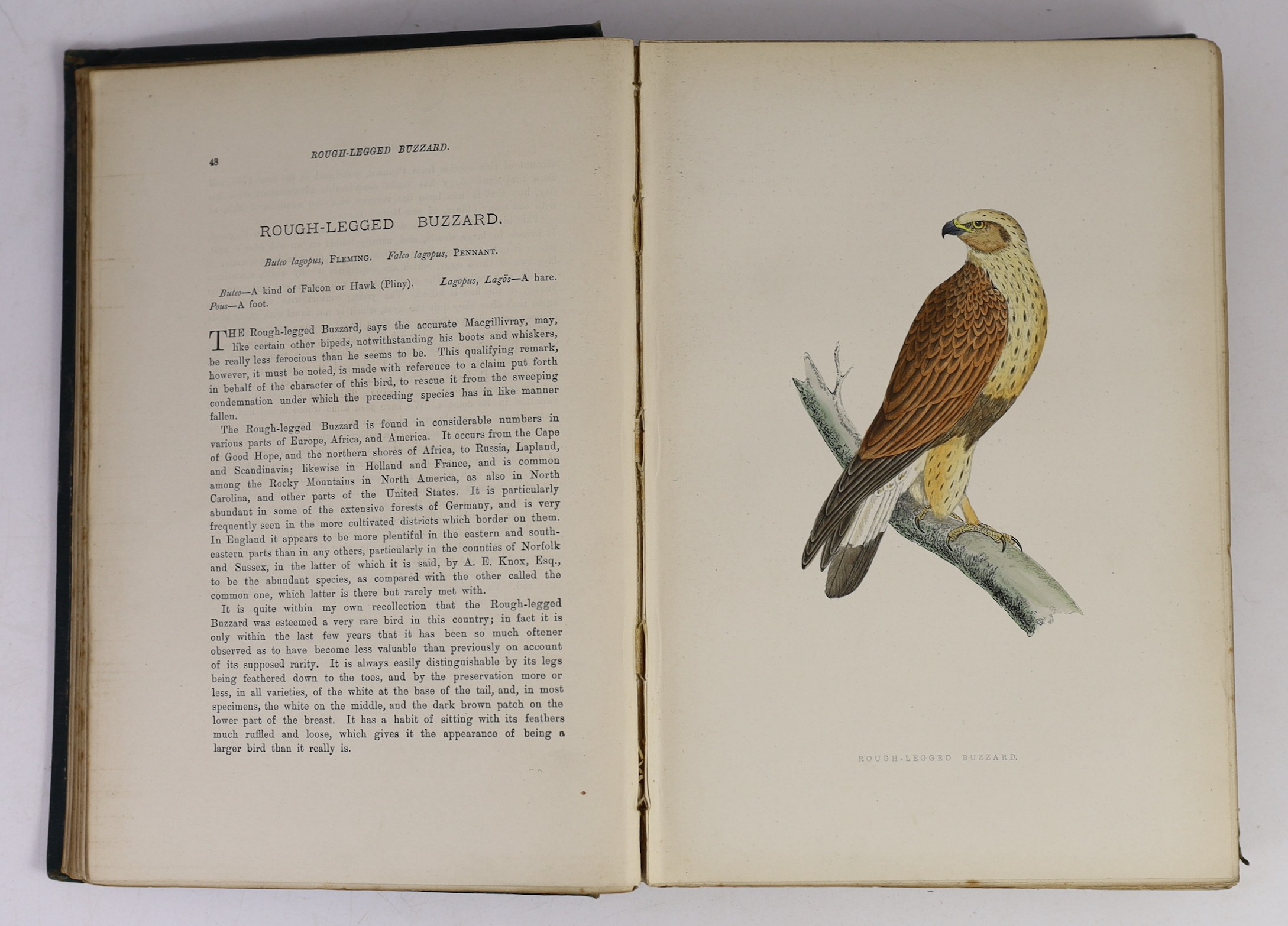 Morris, Francis Orpen - A History of British Birds, 3rd edition, 6 vols, 8vo original cloth pictorial gilt, with 394 hand-coloured plates, spines bumped, John C. Nimmo, London, 1891